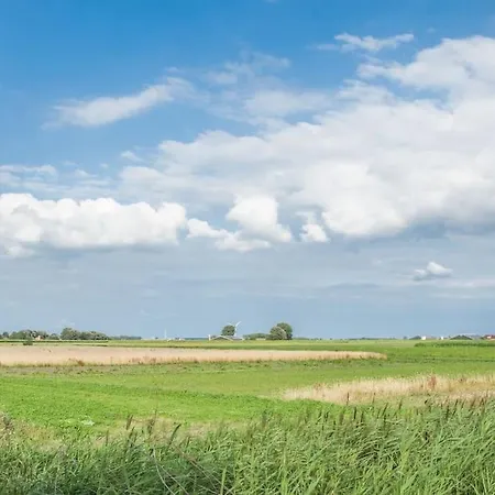 Campingplatz Tiny House, De Trailer Op Landgoed Rorik Beverwijk